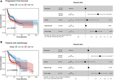 Ferroptosis-Related Long Non-Coding RNA Signature Contributes to the Prediction of Prognosis Outcomes in Head and Neck Squamous Cell Carcinomas